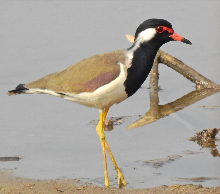 kovai-briders-perur-lake3